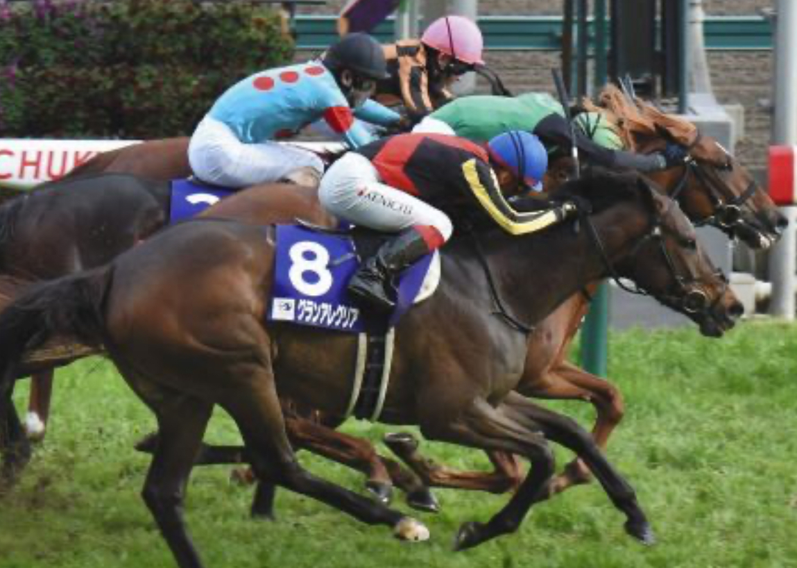 高松宮記念 2020